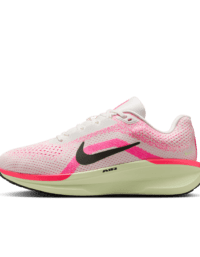 Nike Nike Winflo 11