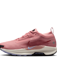 Nike Nike Pegasus Trail 5 GORE-TEX