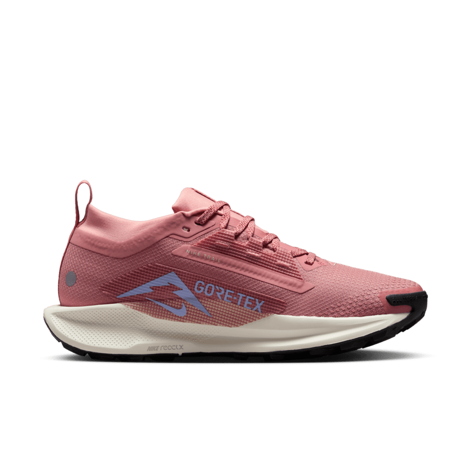 Nike Nike Pegasus Trail 5 GORE-TEX