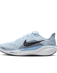 Nike Nike Pegasus 41