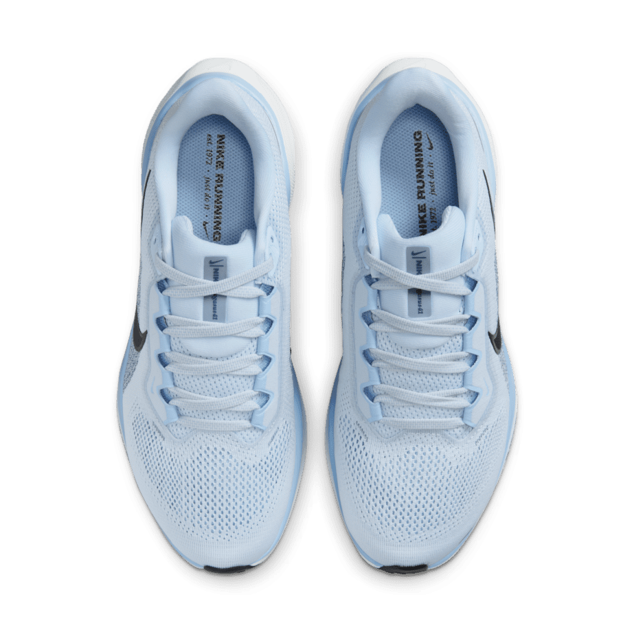 Nike Nike Pegasus 41