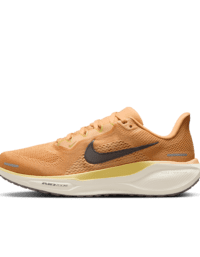 Nike Nike Pegasus 41