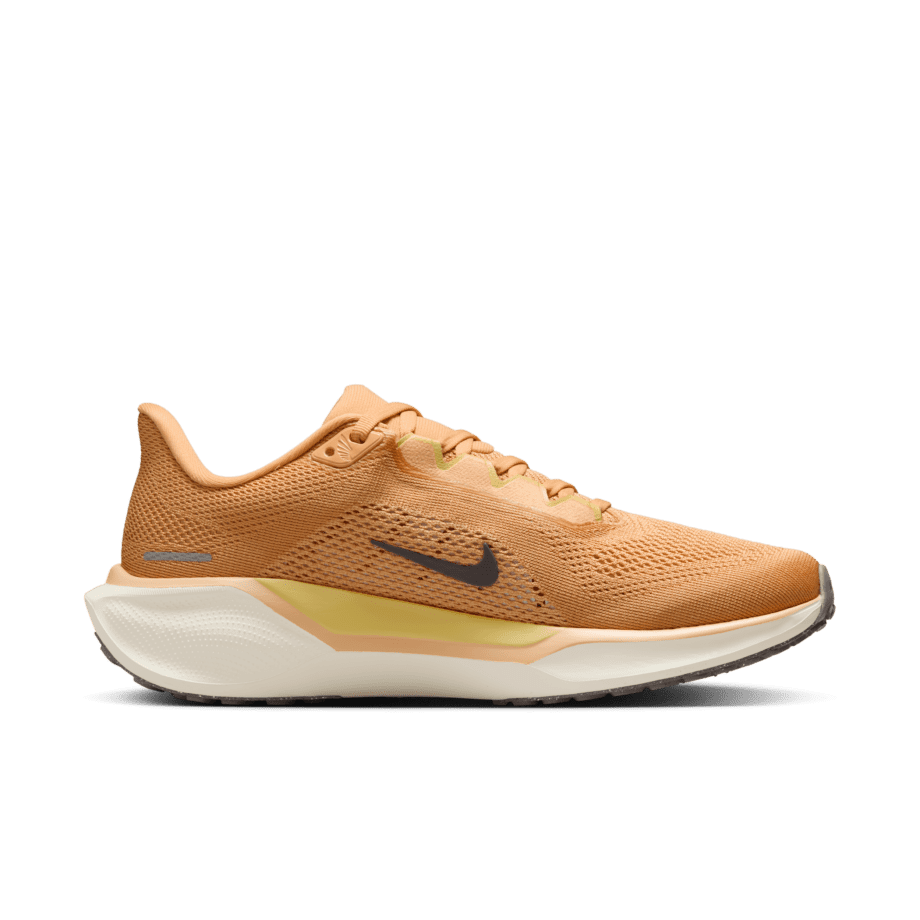 Nike Nike Pegasus 41