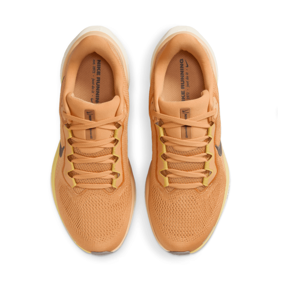 Nike Nike Pegasus 41
