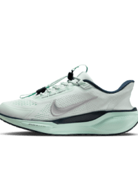 Nike Nike Pegasus EasyOn