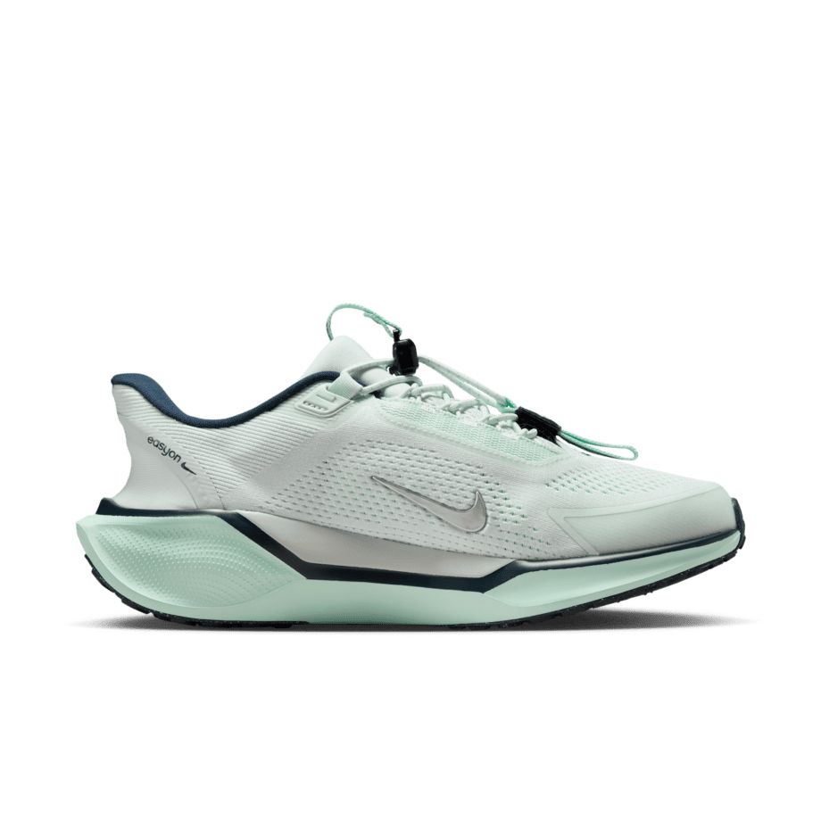 Nike Nike Pegasus EasyOn