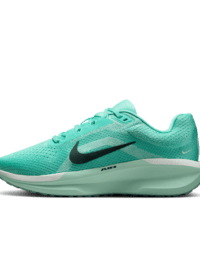 Nike Nike Winflo 11