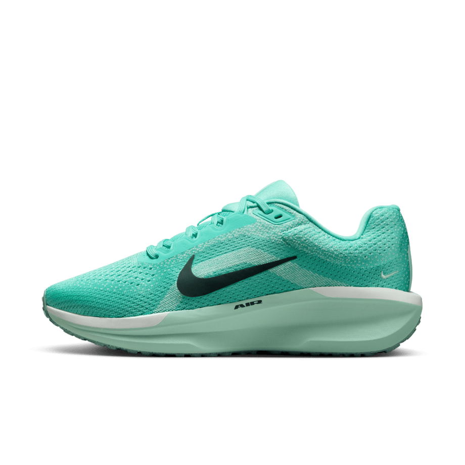 Nike Nike Winflo 11
