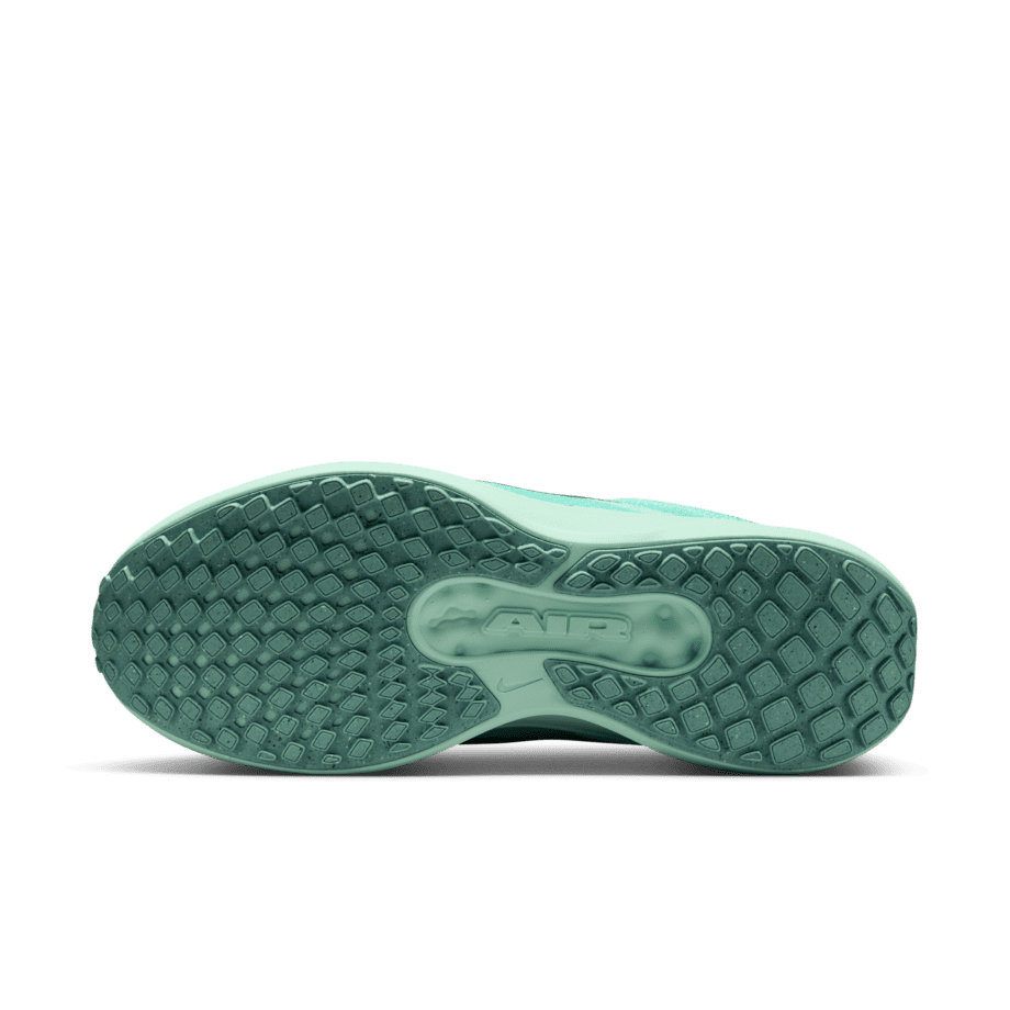 Nike Nike Winflo 11