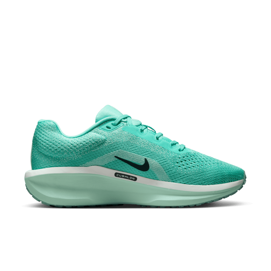Nike Nike Winflo 11