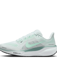Nike Nike Pegasus 41