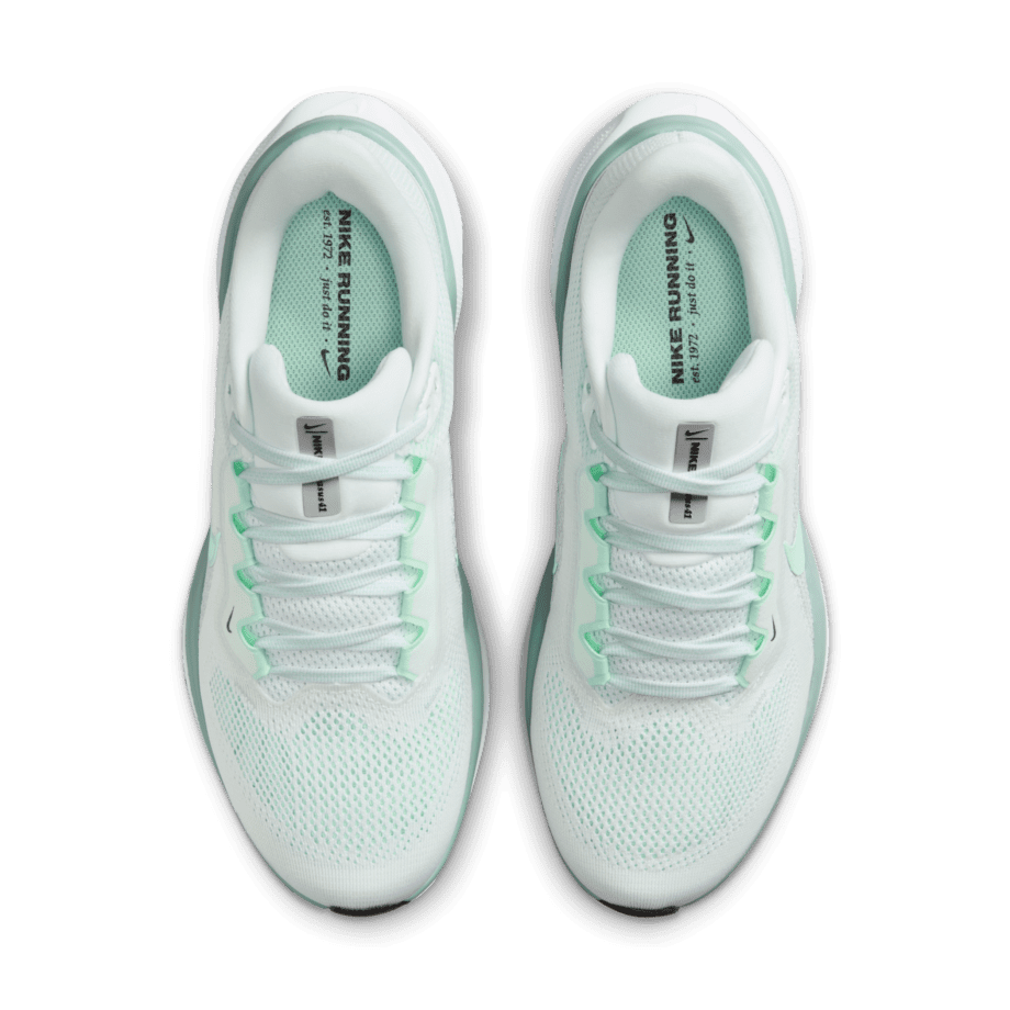 Nike Nike Pegasus 41