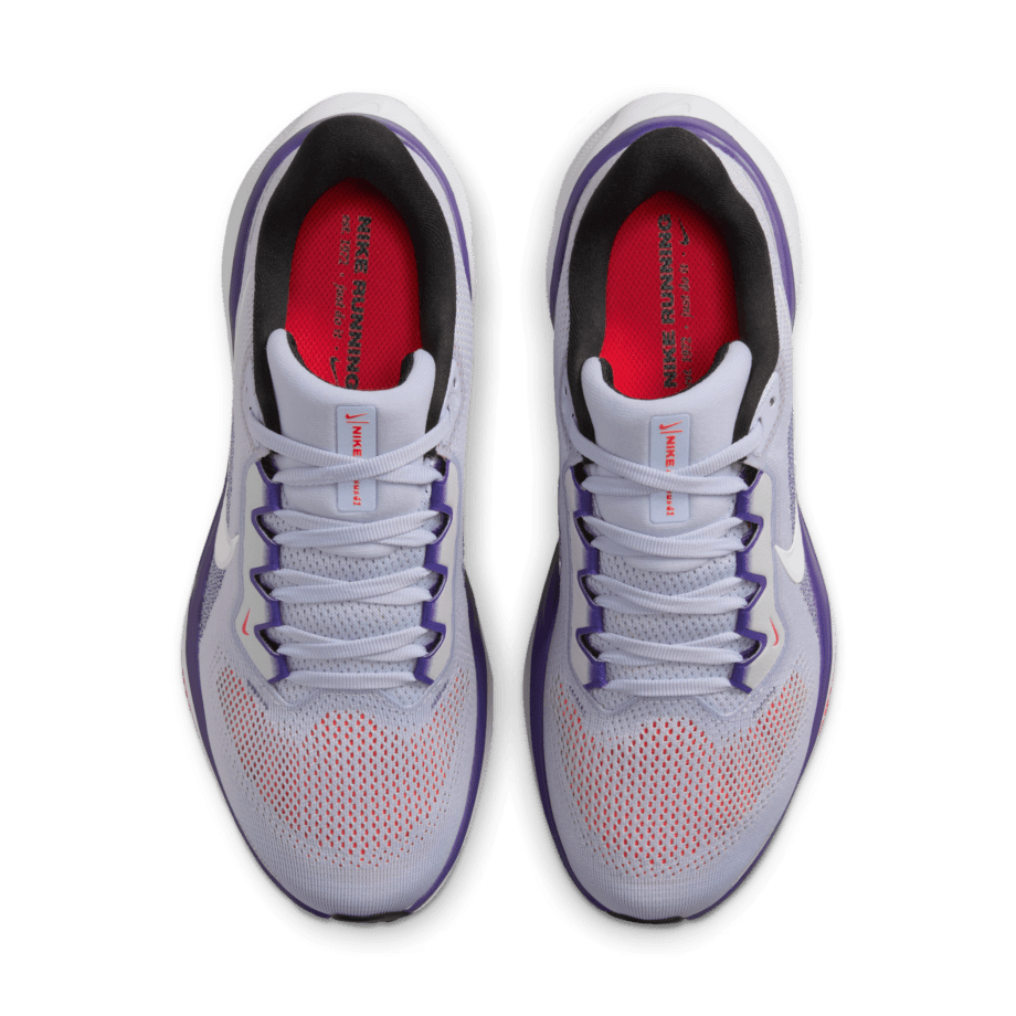 Nike Nike Pegasus 41
