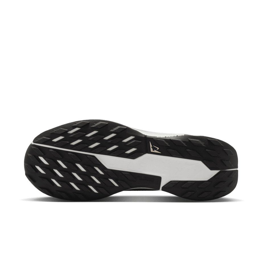 Nike Nike Pegasus Trail 5 GORE-TEX