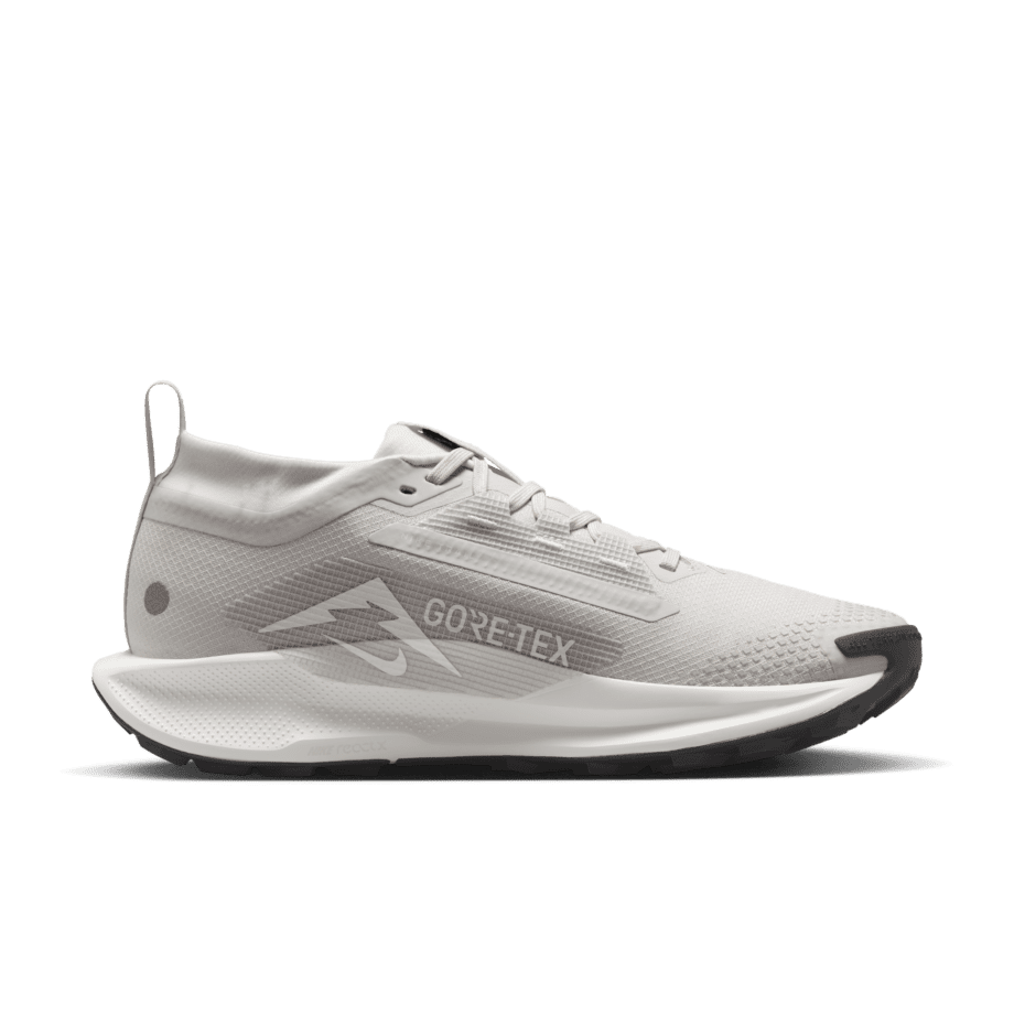 Nike Nike Pegasus Trail 5 GORE-TEX