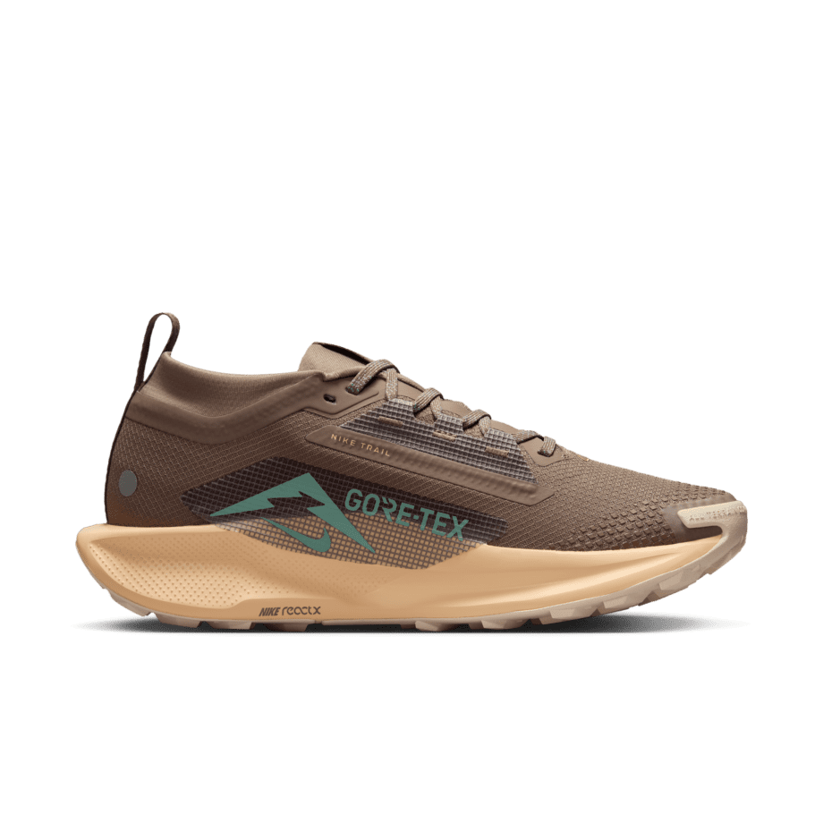 Nike Nike Pegasus Trail 5 GORE-TEX