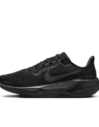 Nike Nike Pegasus 41