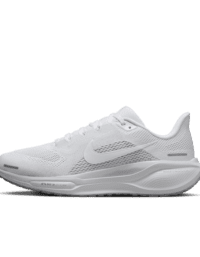 Nike Nike Pegasus 41