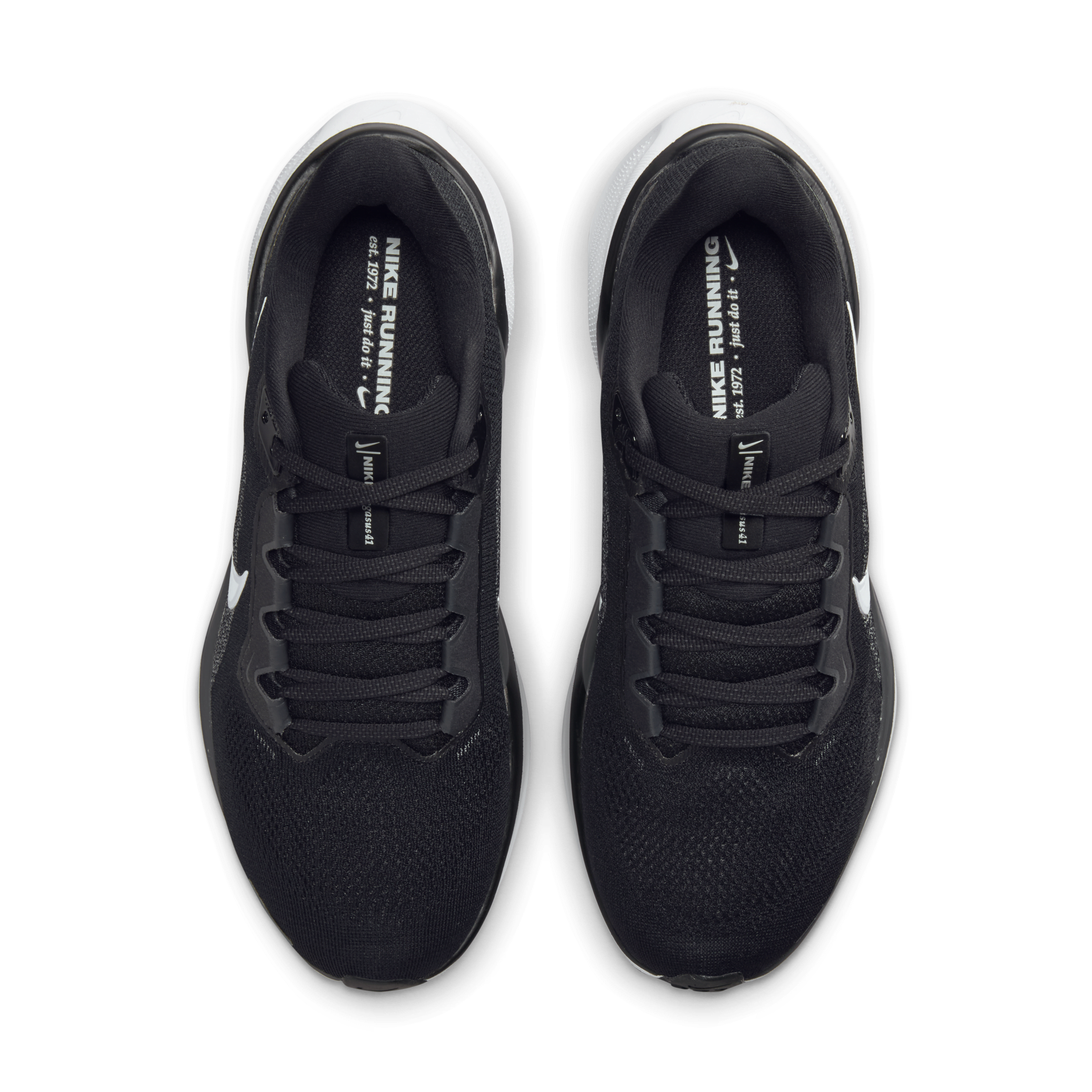 Nike Nike Pegasus 41