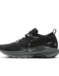 Nike Nike Pegasus Trail 5 GORE-TEX