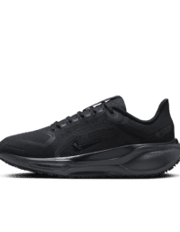 Nike Nike Pegasus 41 GORE-TEX