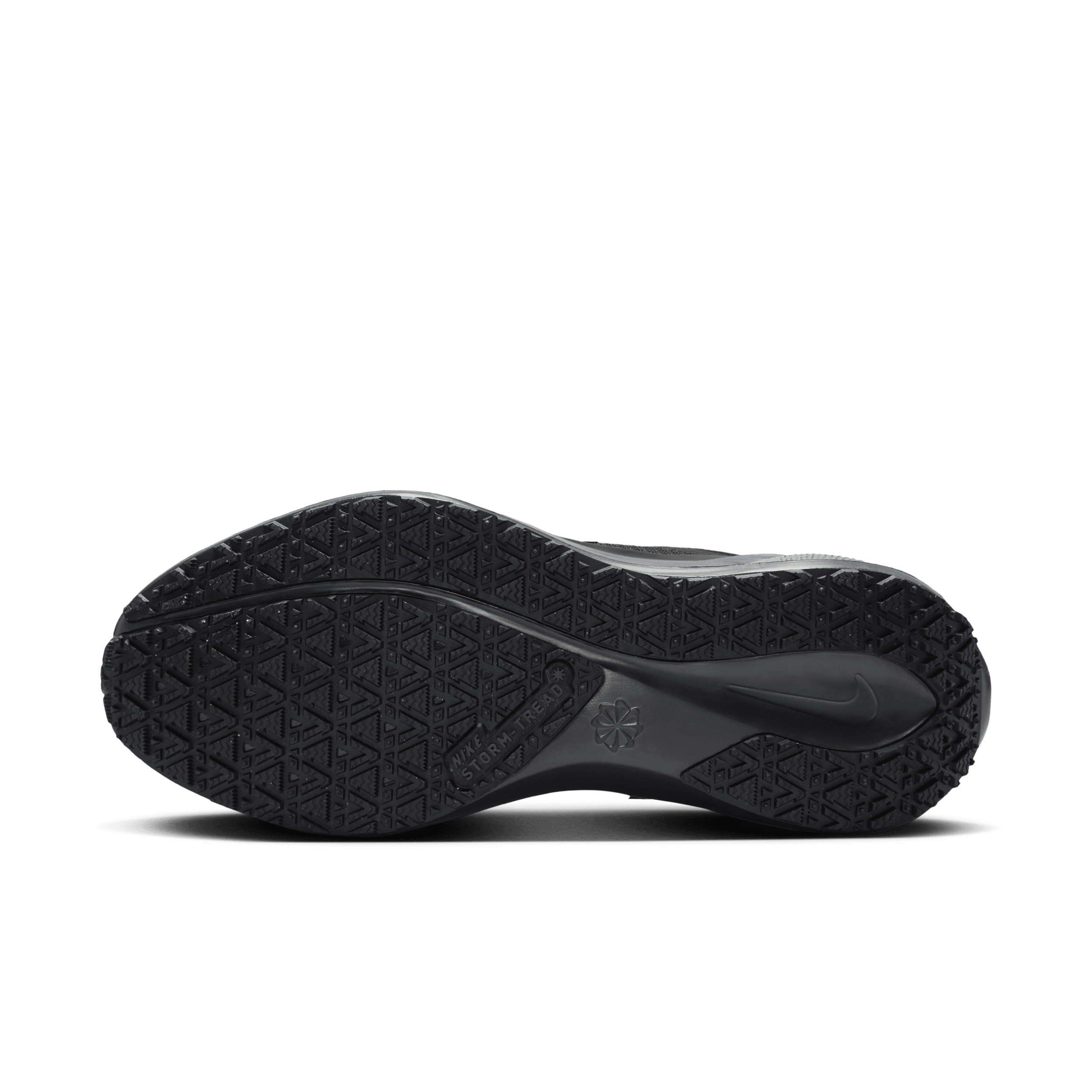 Nike Nike Pegasus 41 GORE-TEX