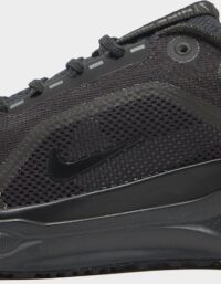 Nike Pegasus 41 GORE-TEX Herr, svart