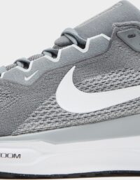 Nike Pegasus 41 Herr, grå