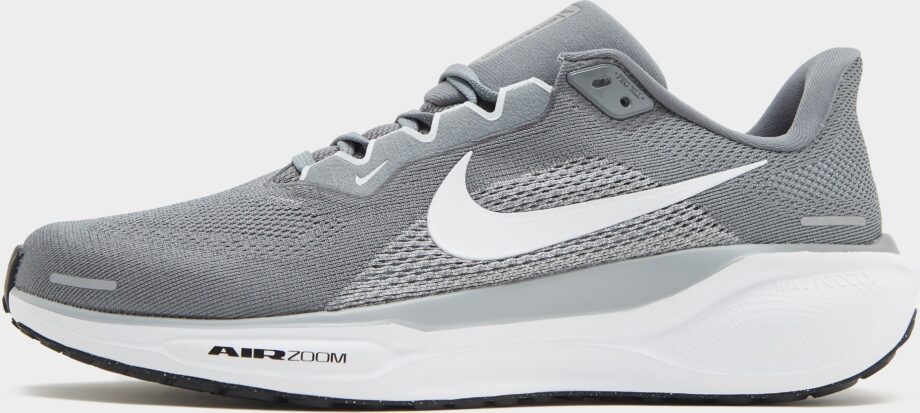 Nike Pegasus 41 Herr, grå