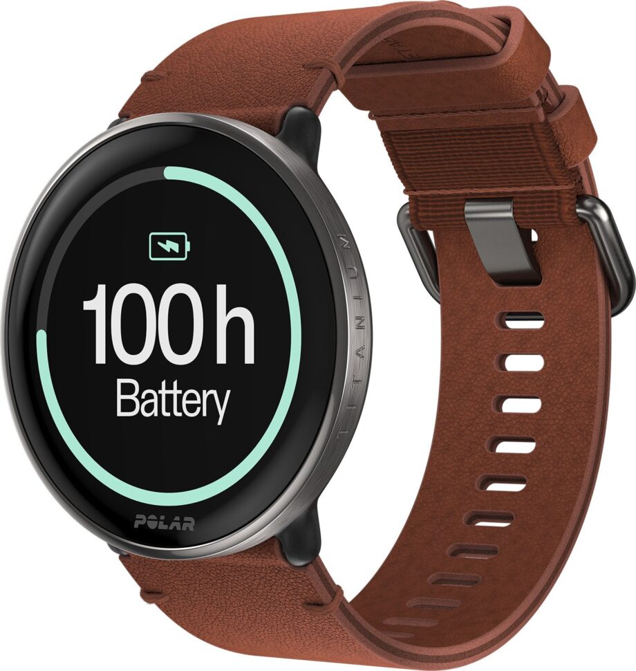 Polar Ignite 3 Titanium Bronze