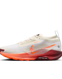 Nike Nike Pegasus Trail 5 GORE-TEX