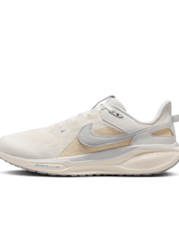 Nike Nike Air Zoom Pegasus 41 SP