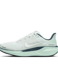 Nike Nike Pegasus 41