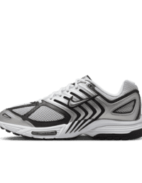 Nike Nike Air Pegasus 2005