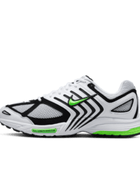 Nike Nike Air Pegasus 2005