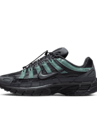 Nike Nike P-6000