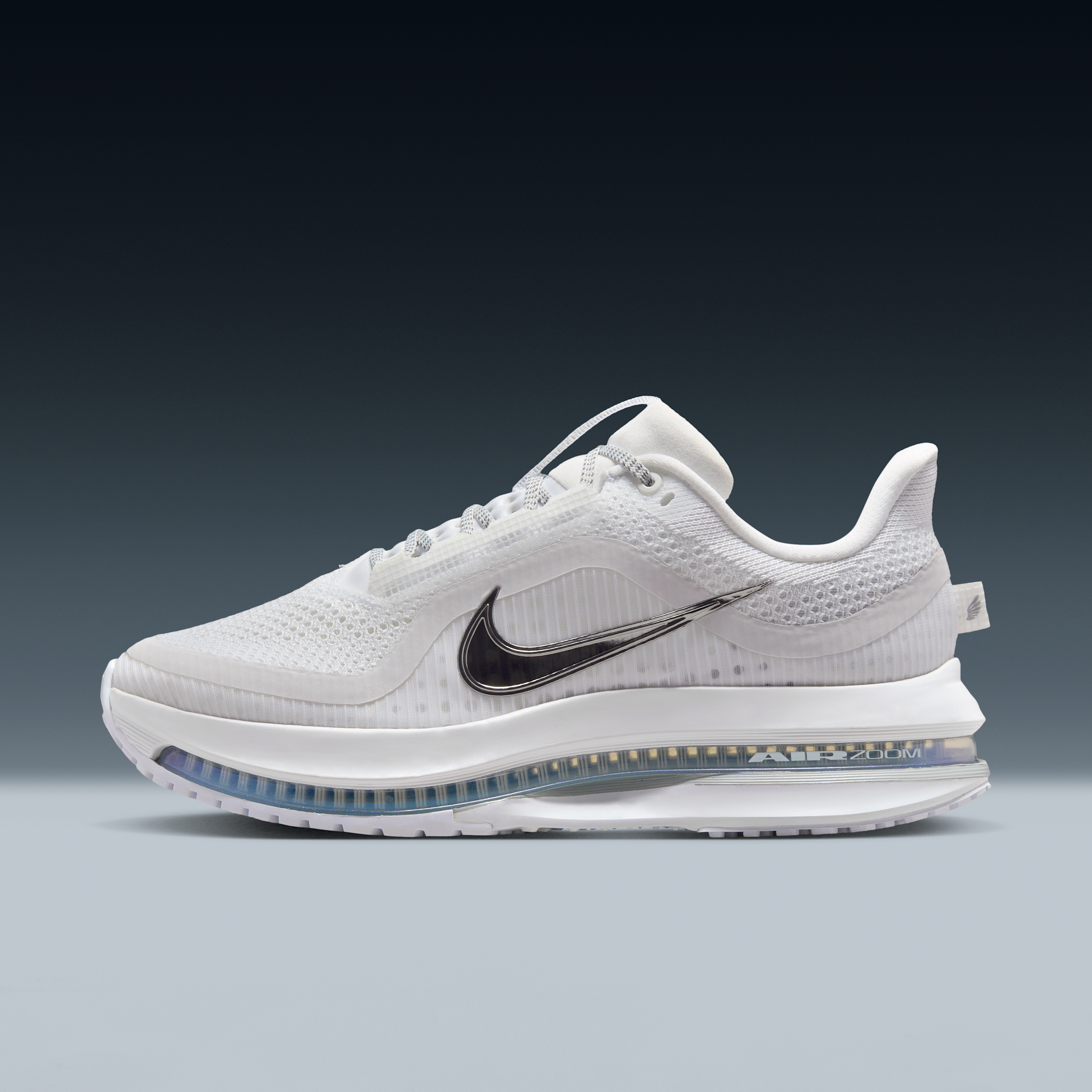 Nike Nike Pegasus Premium