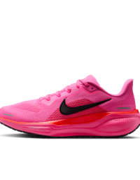Nike Nike Pegasus 41