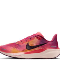 Nike Nike Pegasus 41 SE