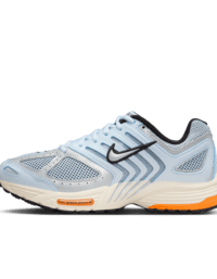 Nike Nike Air Pegasus 2005