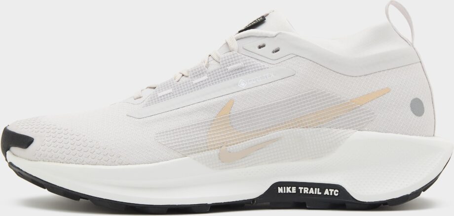 Nike Pegasus Trail 5 GORE-TEX Herr, grå