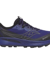 Saucony Peregrine 15 GTX M Regal / Black Regal / Black 49