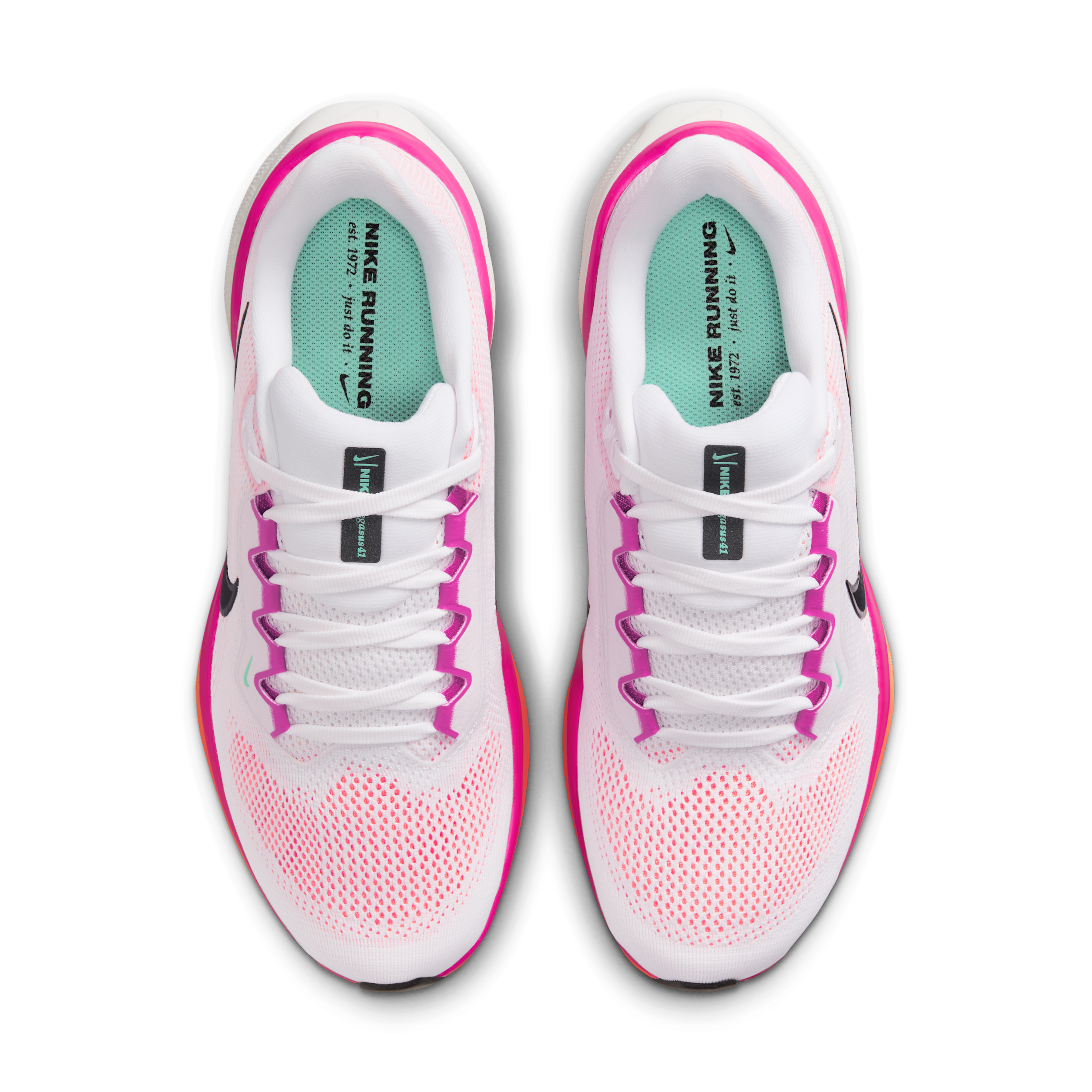 Nike Nike Pegasus 41