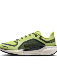 Nike Nike Pegasus 41 GORE-TEX