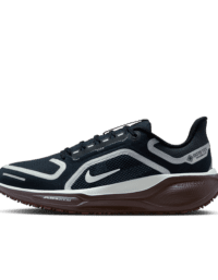 Nike Nike Pegasus 41 GORE-TEX