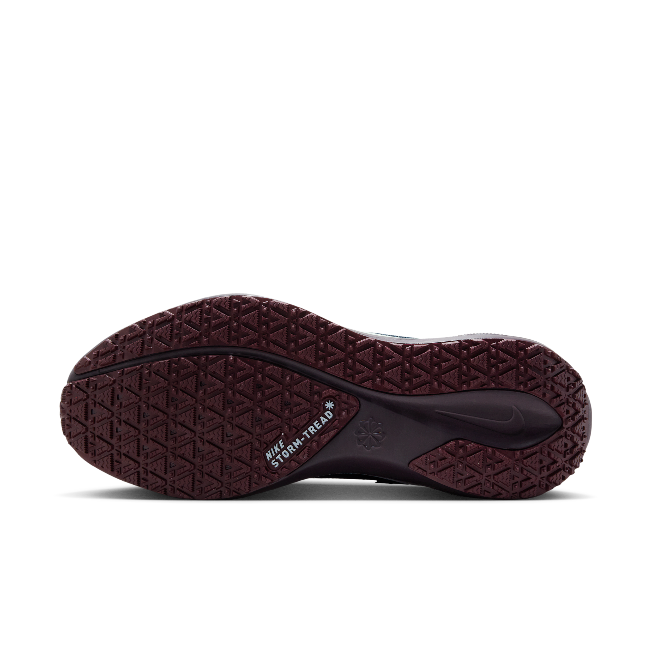 Nike Nike Pegasus 41 GORE-TEX