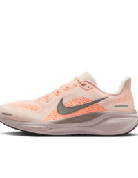 Nike Nike Pegasus 41