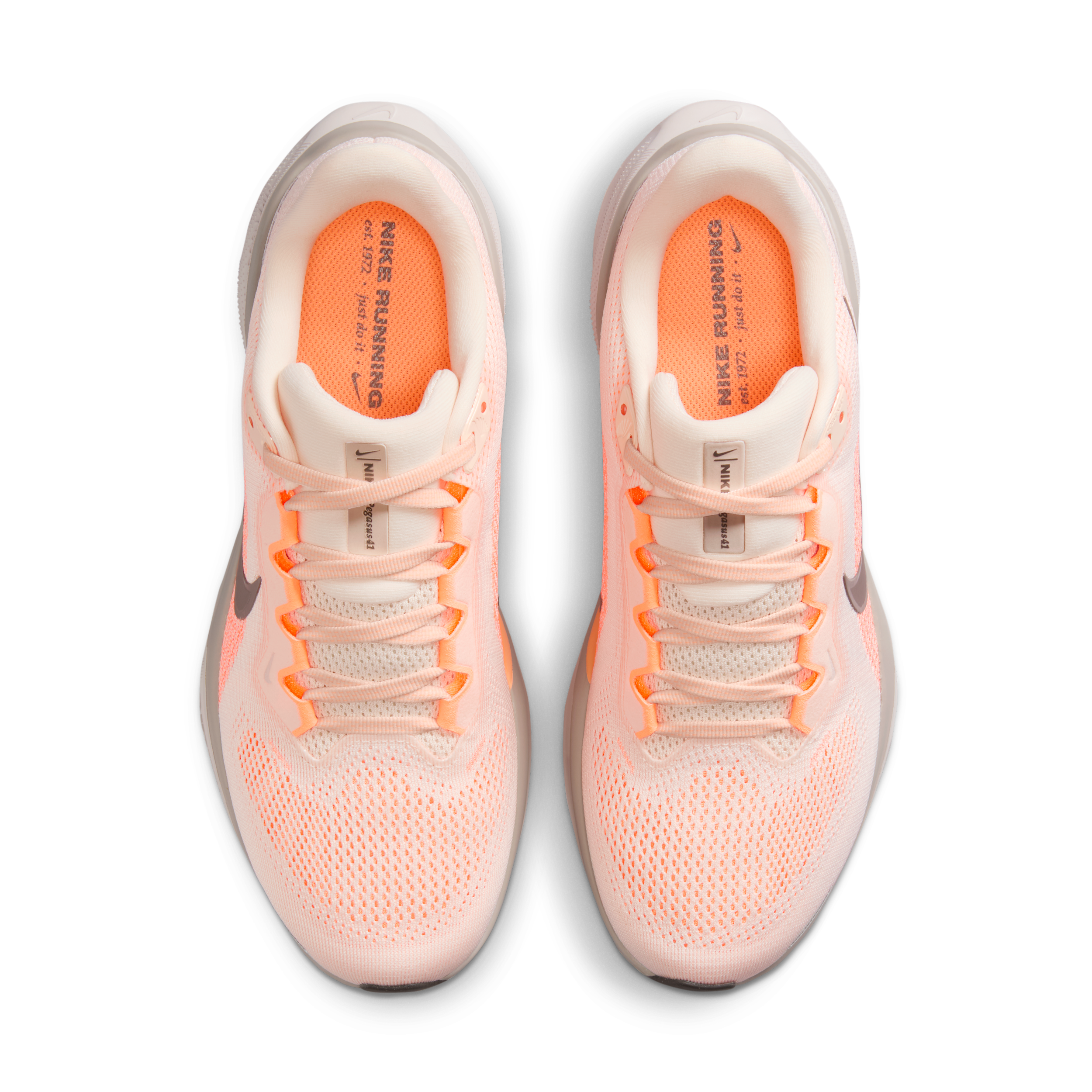 Nike Nike Pegasus 41