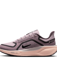 Nike Nike Pegasus 41 GORE-TEX