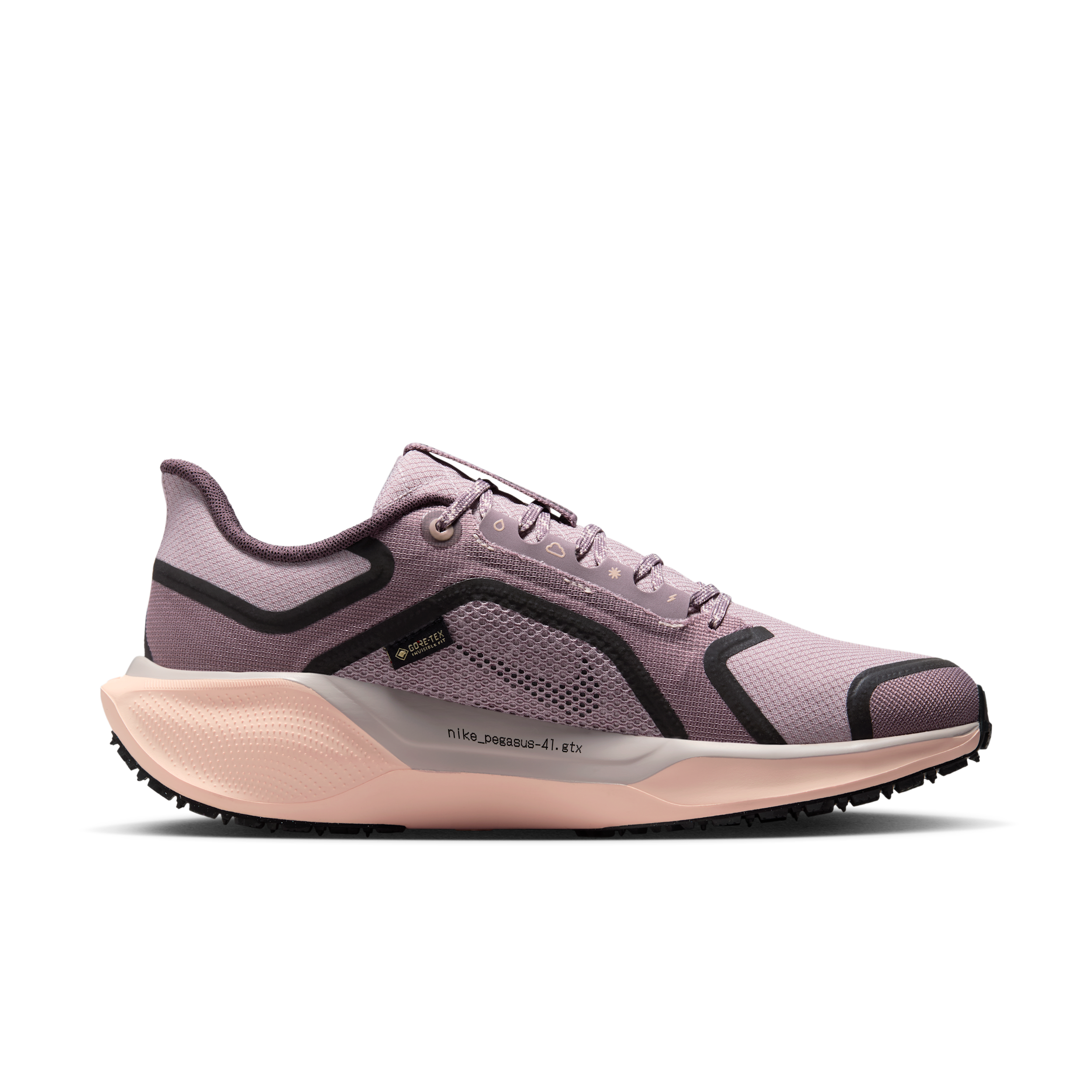 Nike Nike Pegasus 41 GORE-TEX